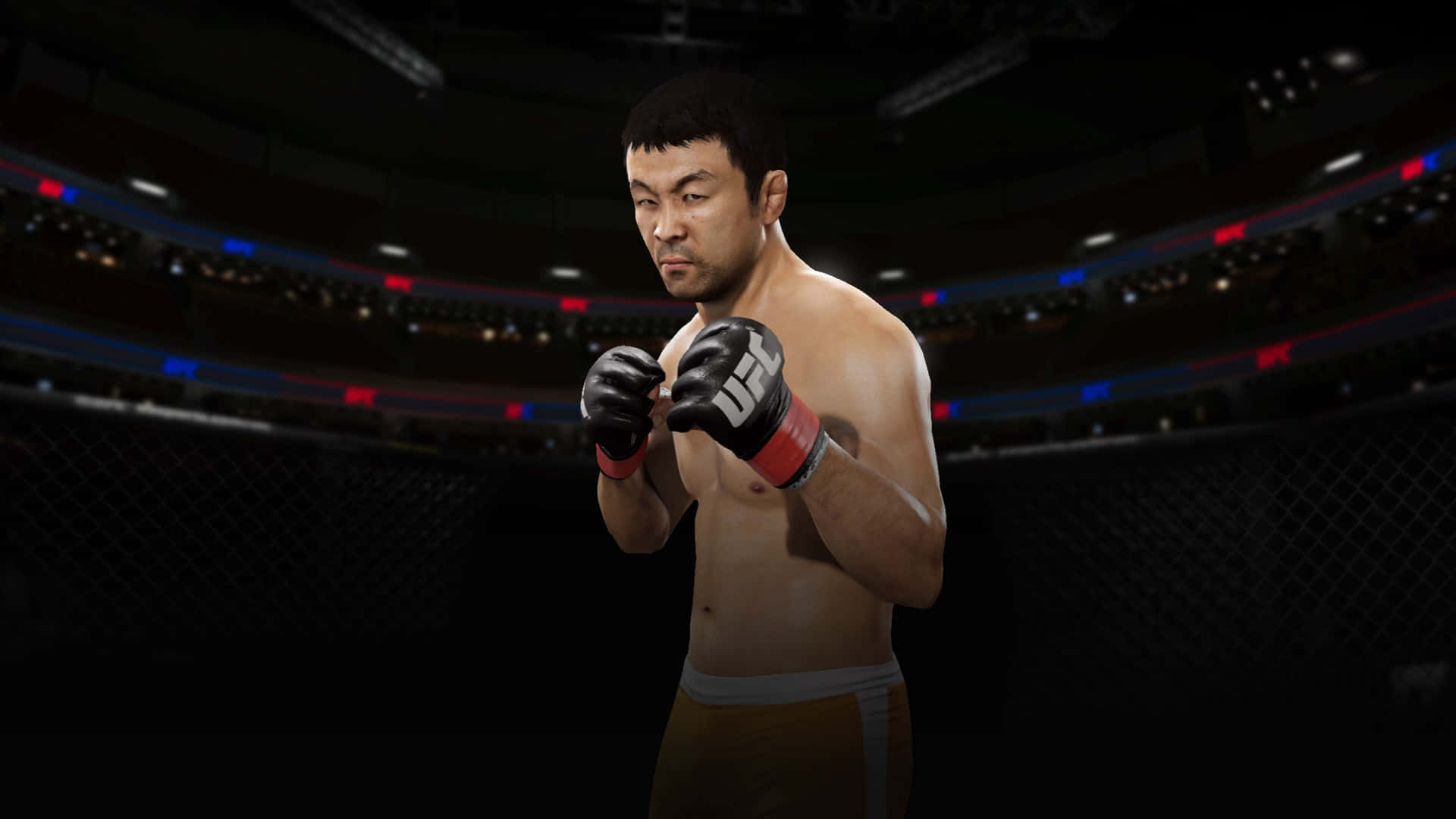 Kazushi Sakuraba UFC 2 Game Wallpaper
