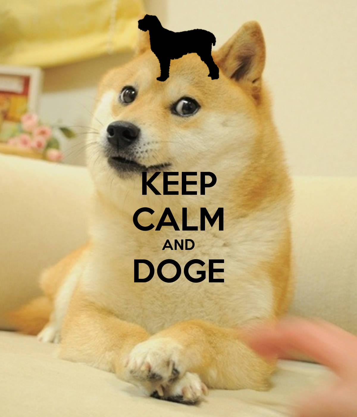 Keep Calm And Doge Meme Wallpaper