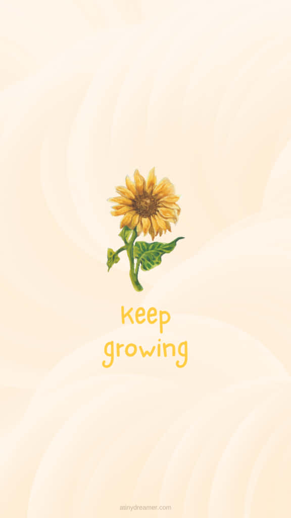 Keep Going - Never Give Up! Wallpaper