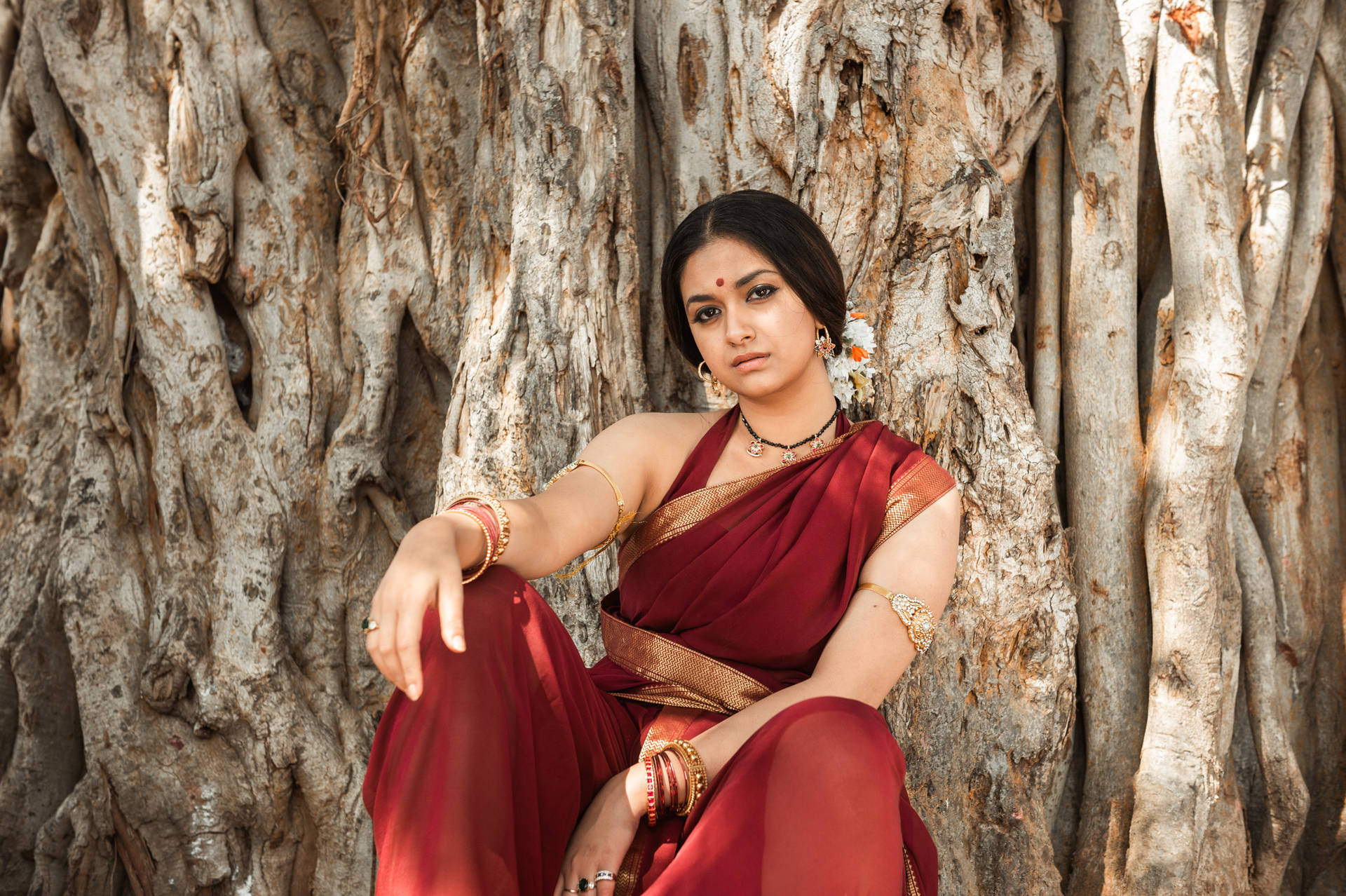 Keerthisuresh Lleva Un Sari Apoyada En Un Árbol. Fondo de pantalla