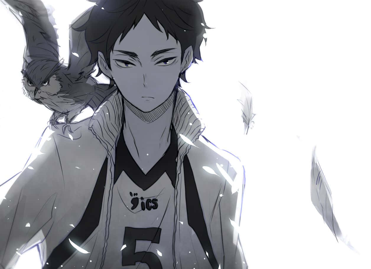Keiji Akaashi posing on the volleyball court Wallpaper