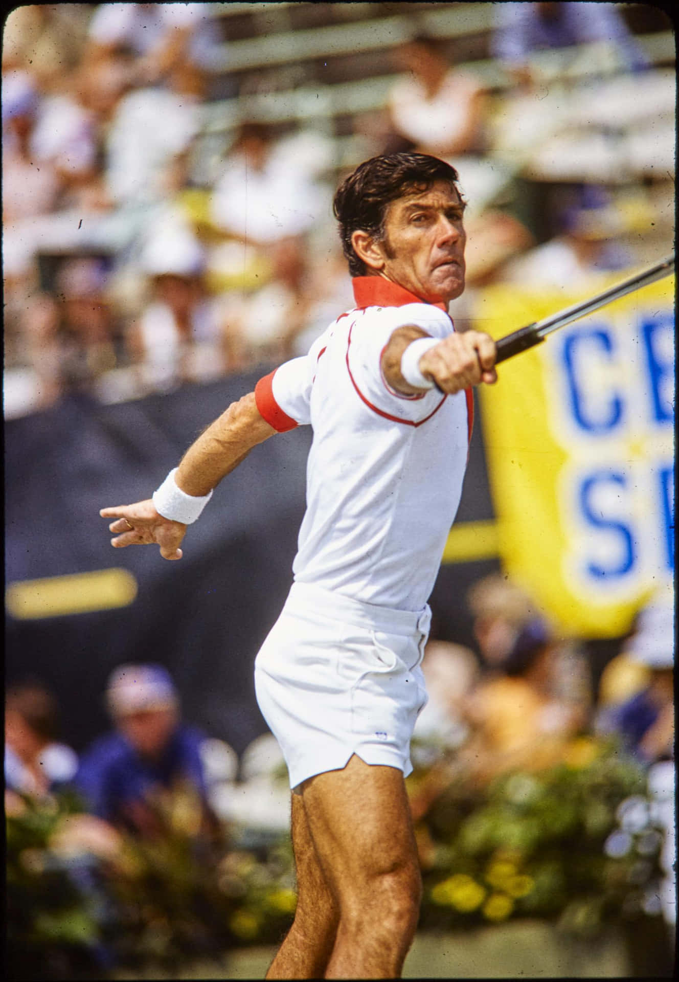 Ken Rosewall Tennis Player Game Photography Wallpaper