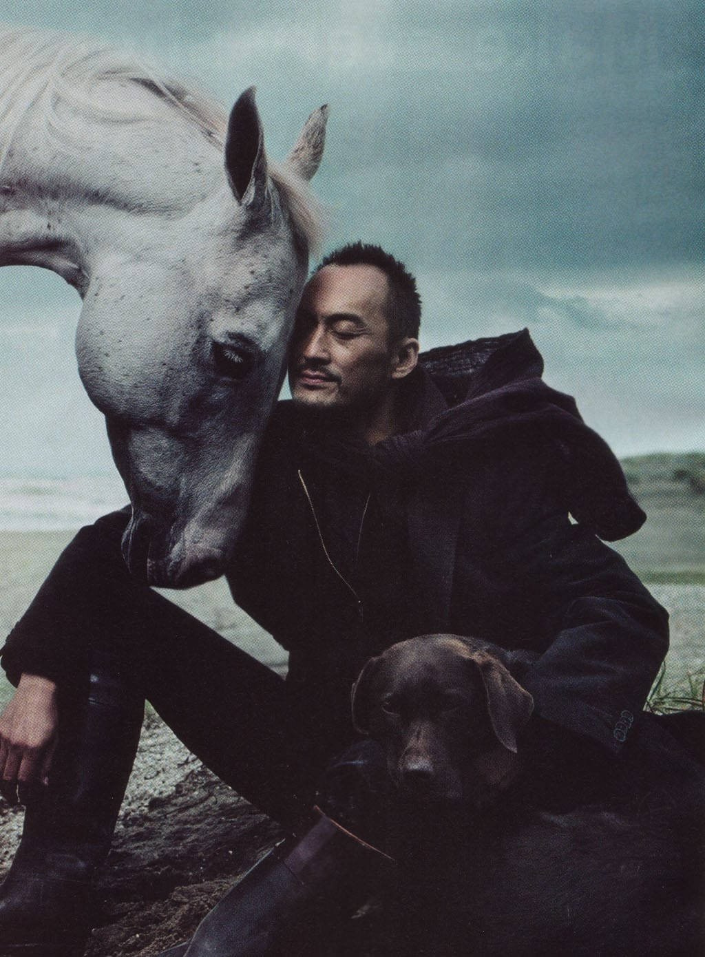 Fotografiade Cavalos E Cães De Ken Watanabe. Papel de Parede