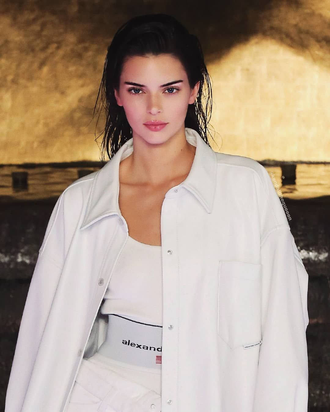 Kendall Jenner Wearing Alexander Wang Wallpaper