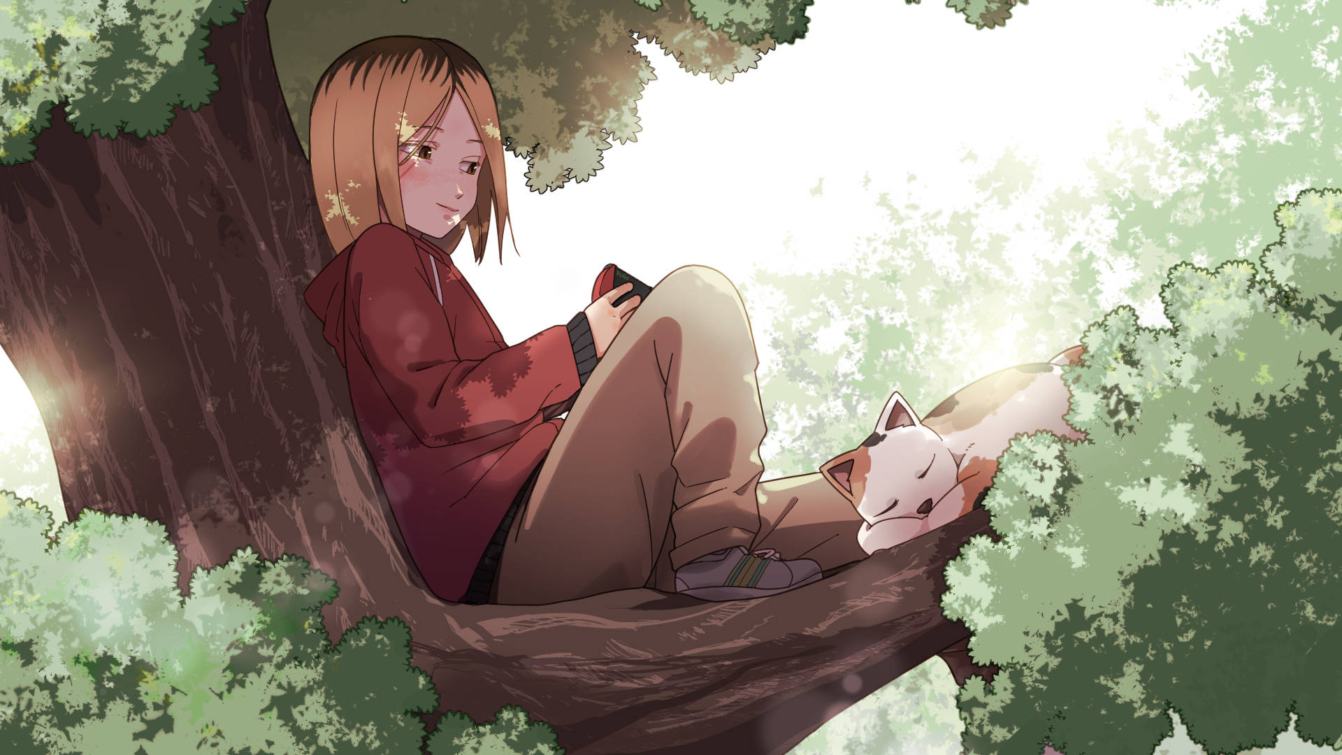 Kenma Resting On A Tree Wallpaper
