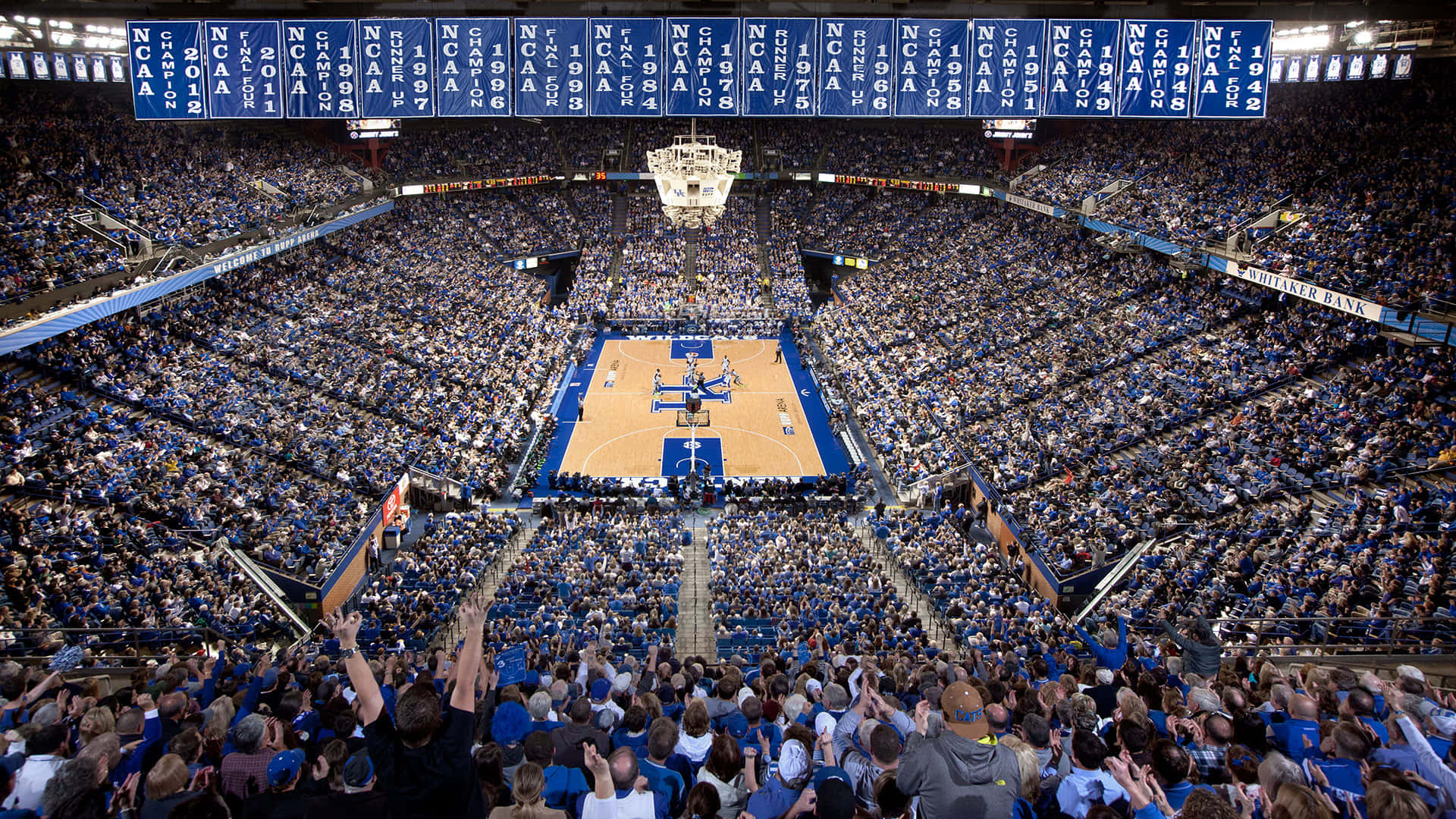 Kentuckywildcats-basketball - Kentucky-wildcats-basketball Wallpaper