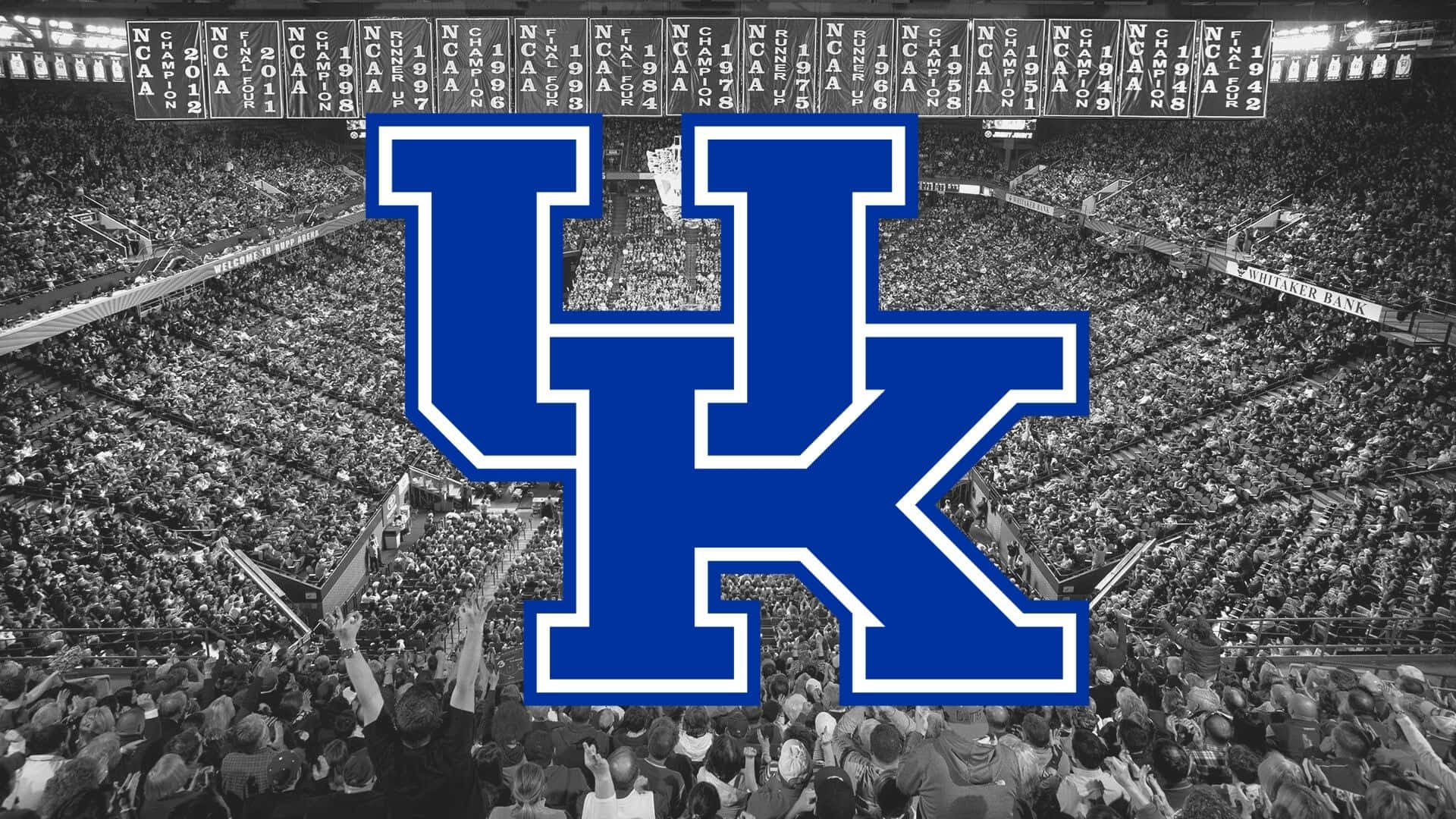 Kentucky Wildcats logo i en stadion af træer Wallpaper
