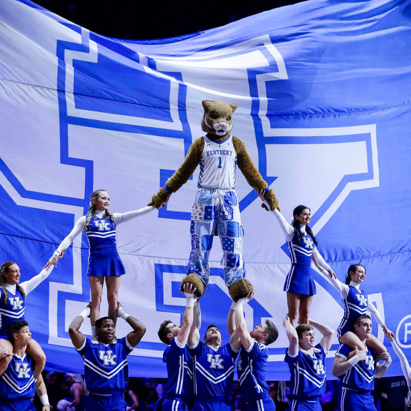 Kentucky Cheerleadersand Mascot Performance Wallpaper