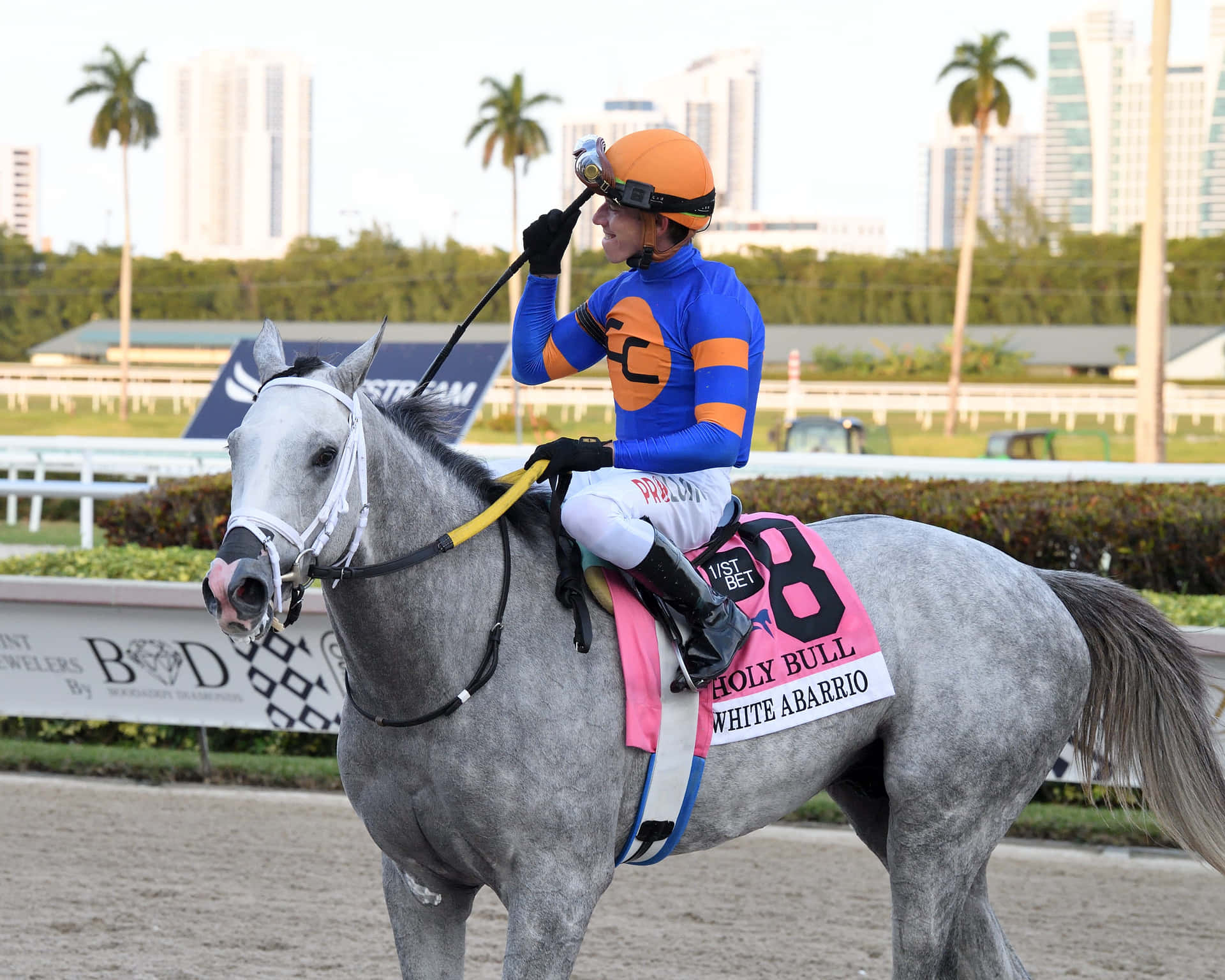 A Jockey Riding A Grey Horse