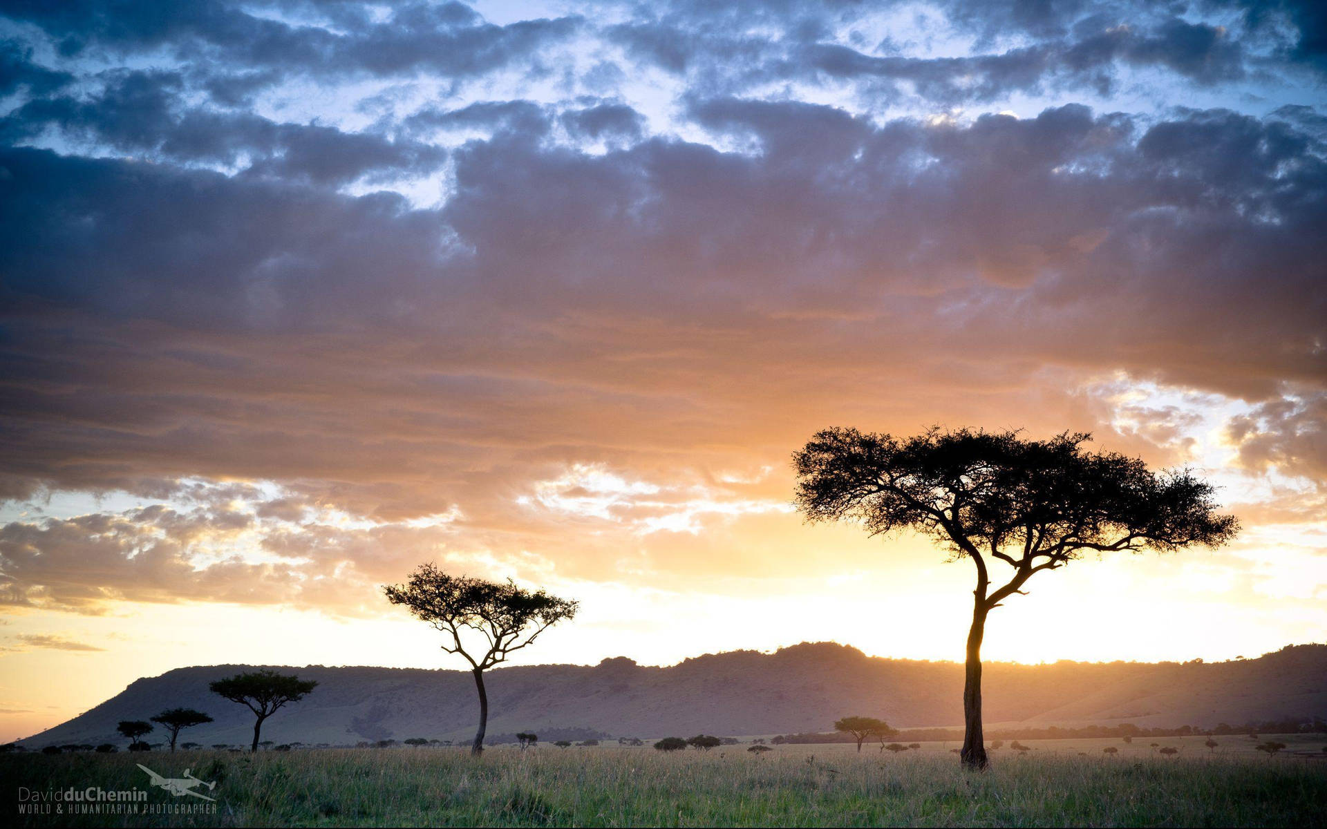 Keniasafari Bei Sonnenuntergang Wallpaper