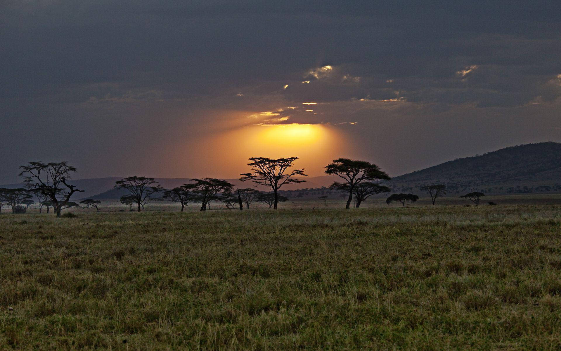 Reservanatural De Safari En Kenia Fondo de pantalla