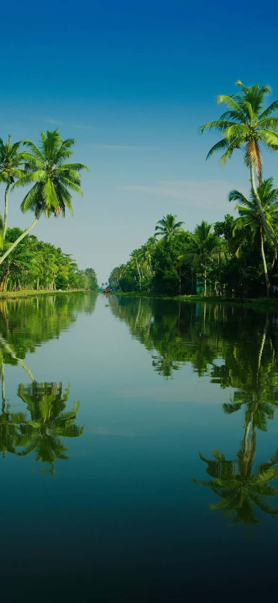 Disfrutade La Belleza De La Naturaleza En El Impresionante Estado De Kerala