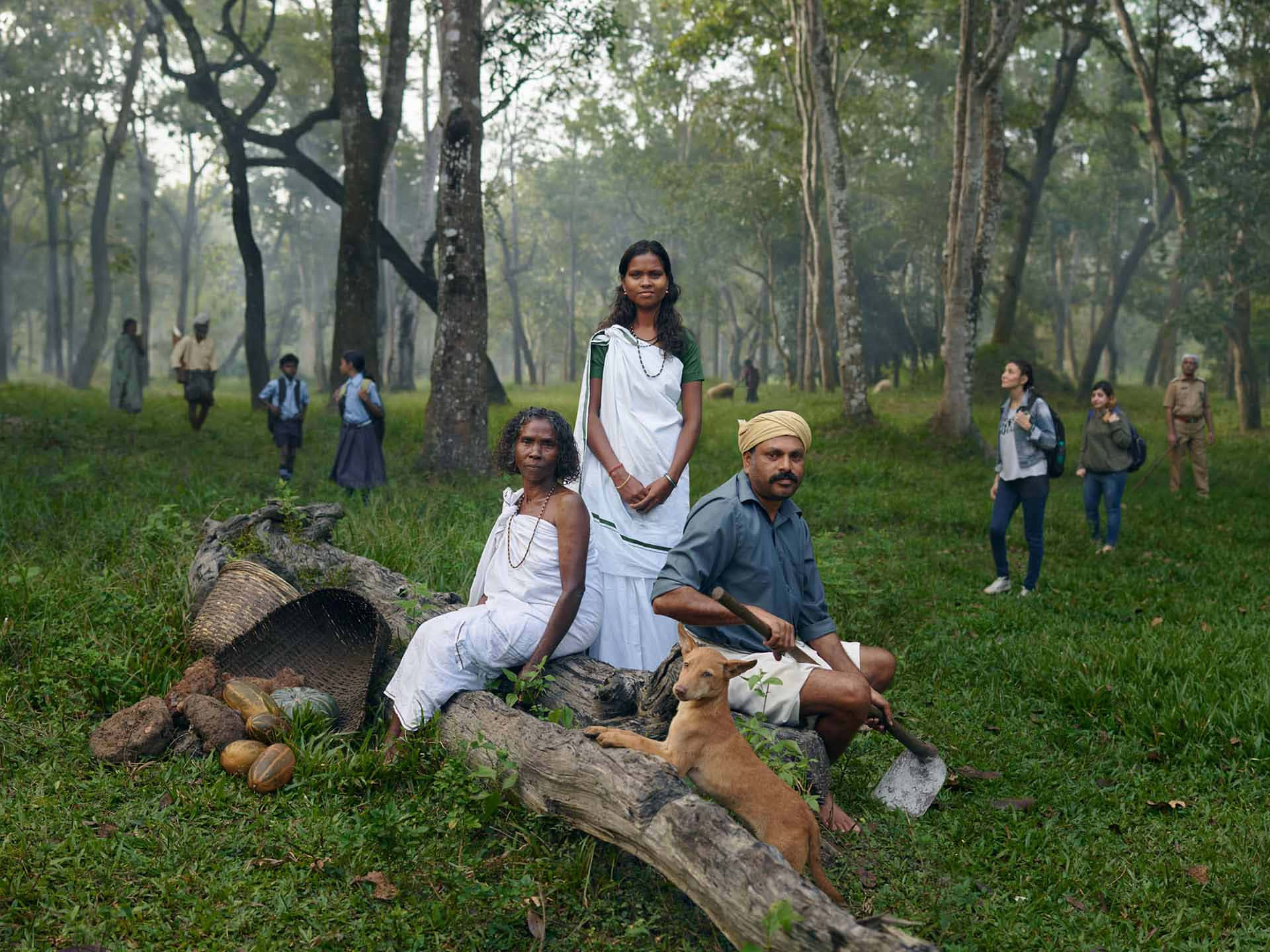 A Family Sits On A Log In The Forest