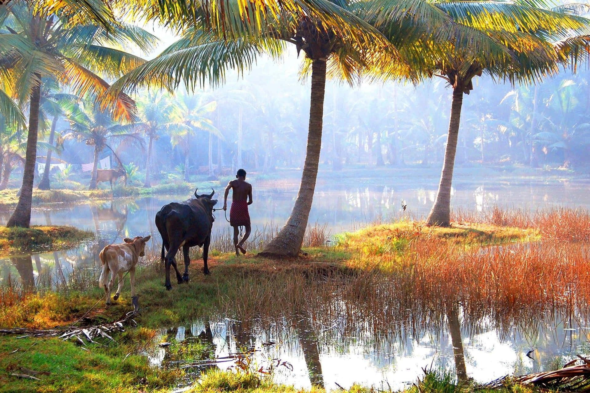 Reflektionav Guds Eget Land, Kerala.