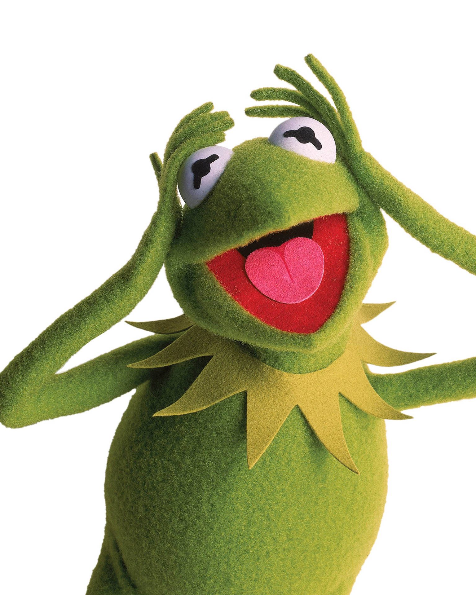 Kermit La Rana Con Le Mani Sulla Testa Sfondo