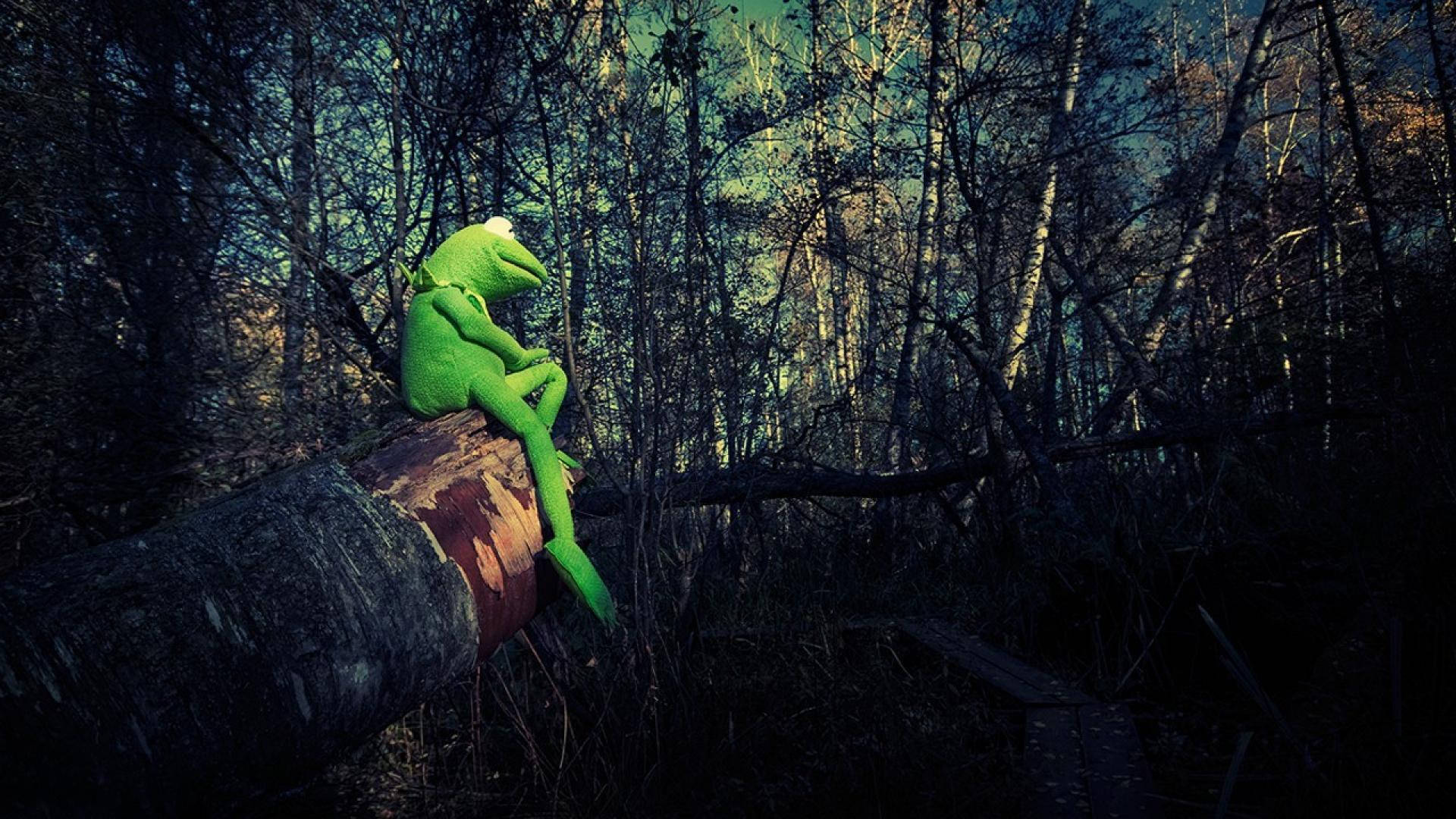 Kermit La Rana Nella Foresta Sfondo