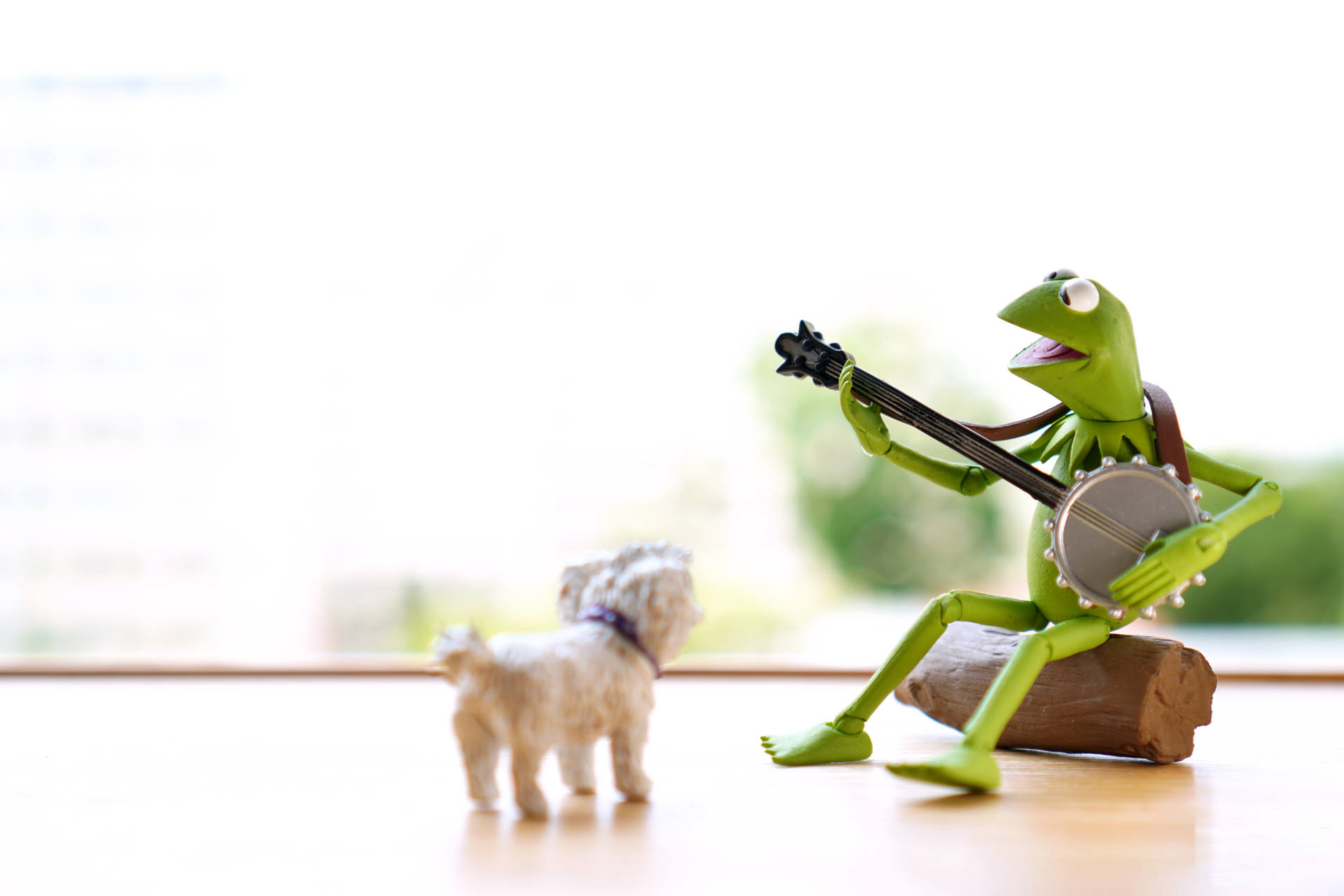 Kermit La Rana Che Suona Il Banjo Al Cane Sfondo