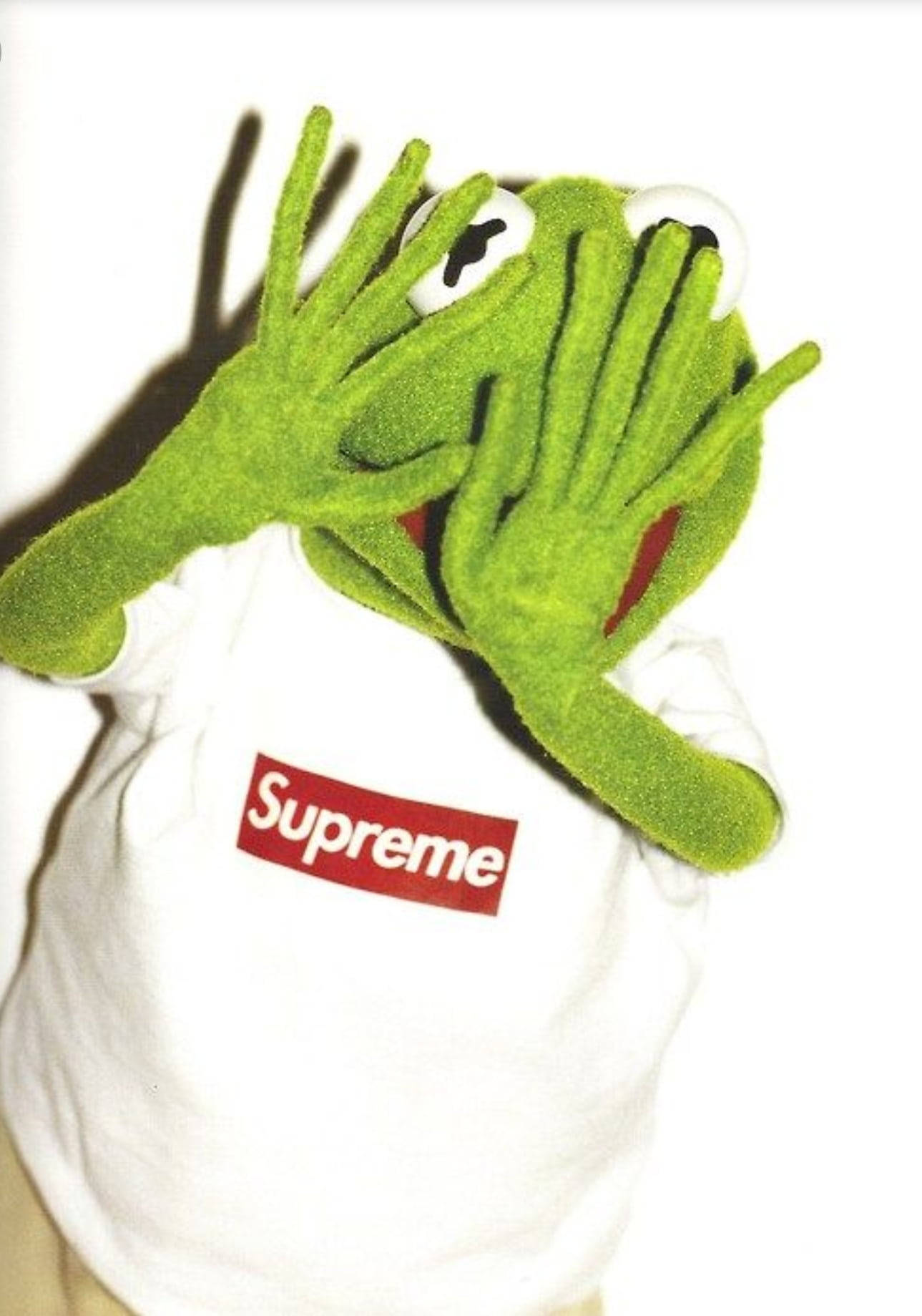Kermitder Frosch Das Muppets Supreme Shirt Wallpaper