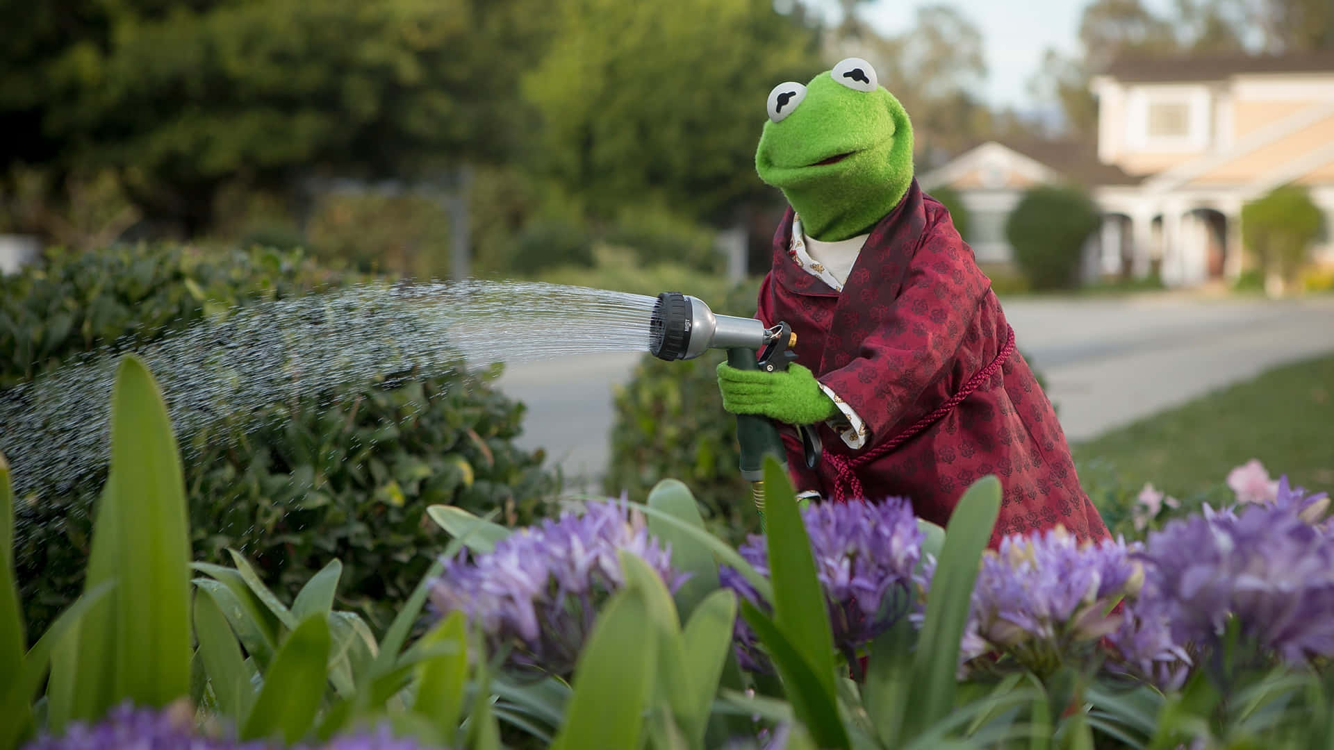 Kermit Watering Garden Scene Wallpaper