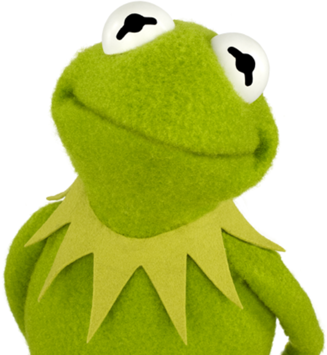 Kermitthe Frog Portrait PNG