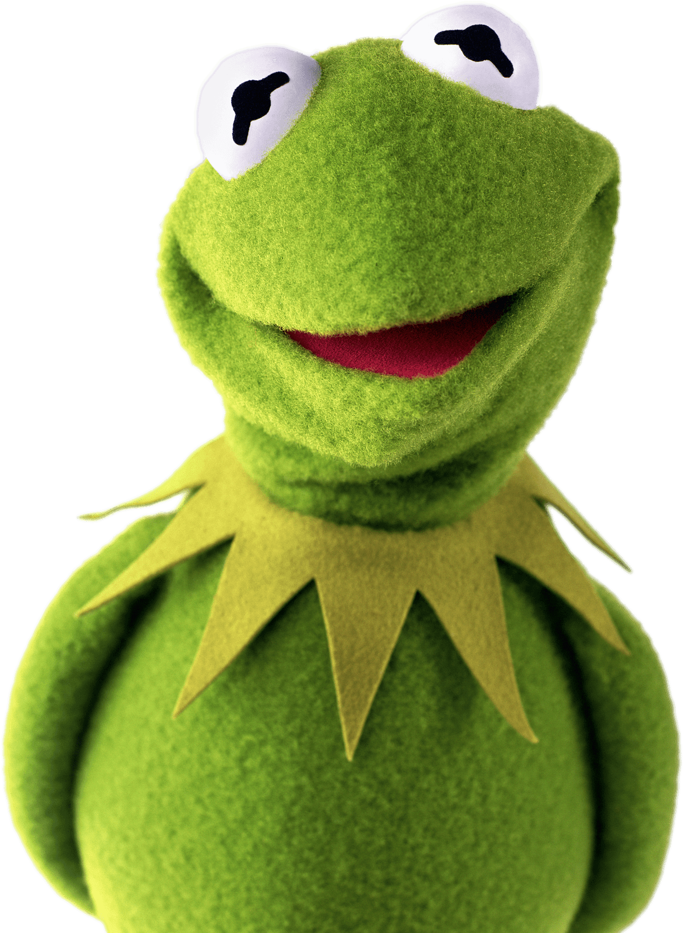 Kermitthe Frog Portrait PNG
