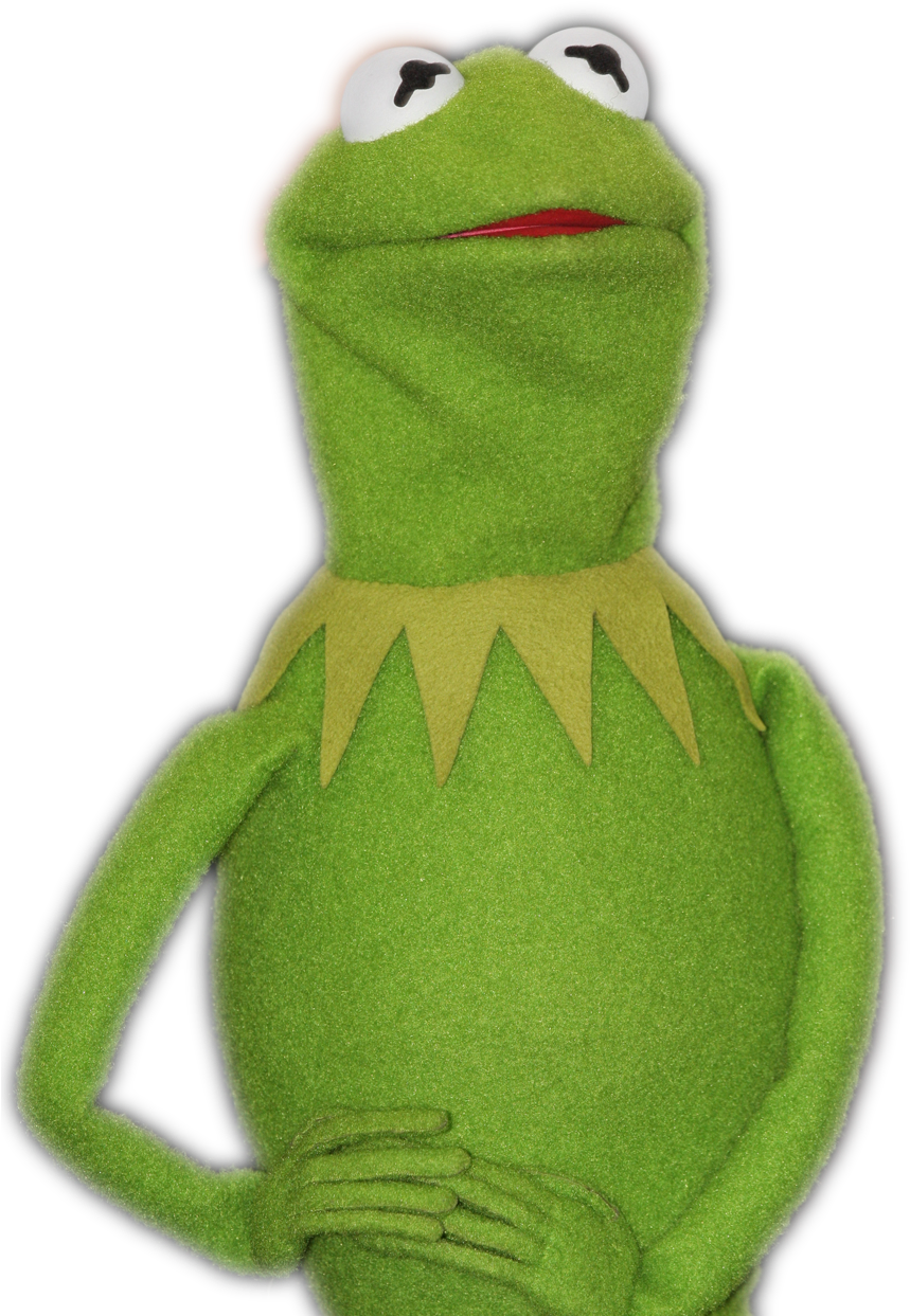 Kermitthe Frog Portrait PNG