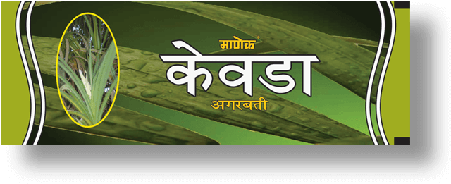 Kewda Agarbatti Packaging Design PNG