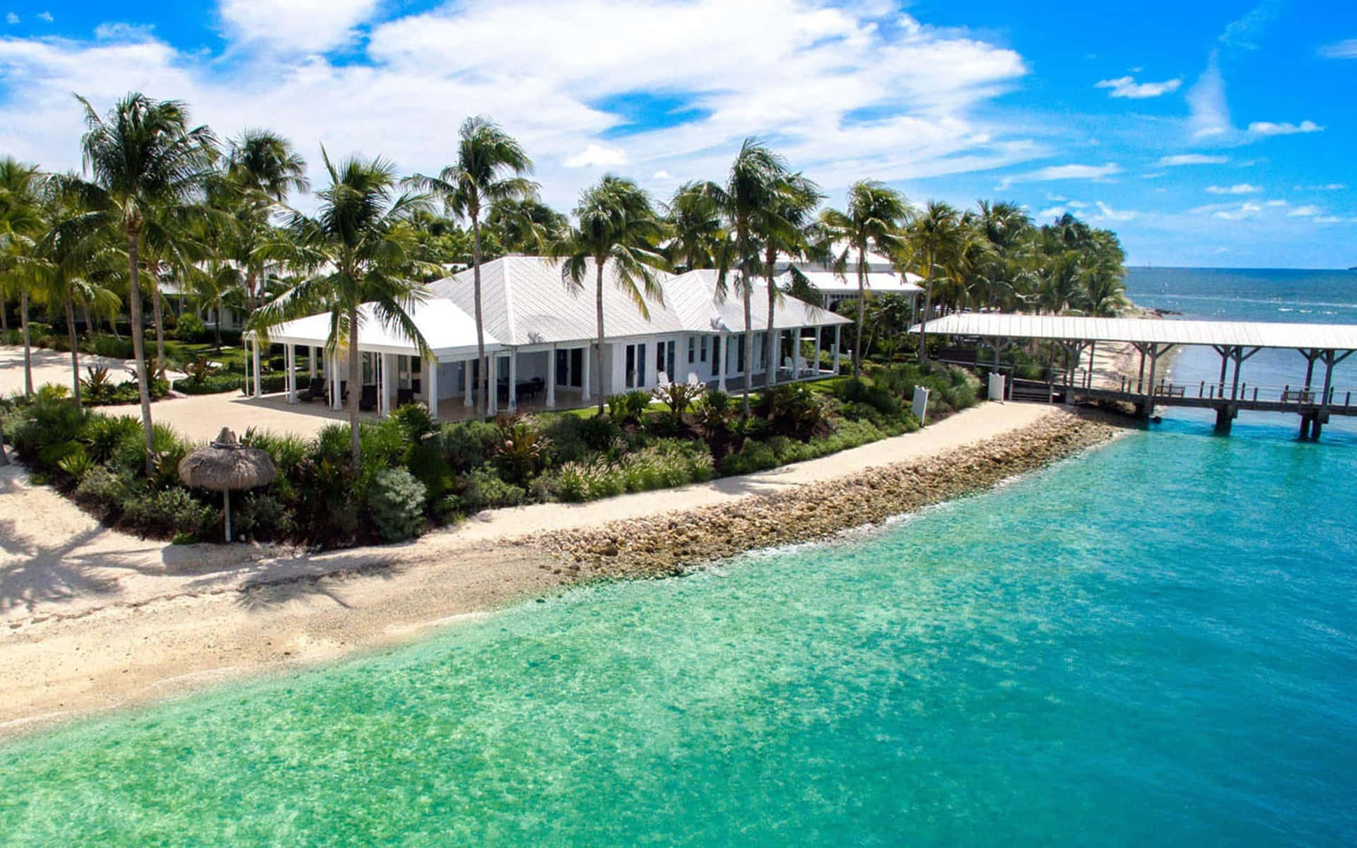 Einmalerischer Blick Auf Die Tropische Landschaft Von Key West