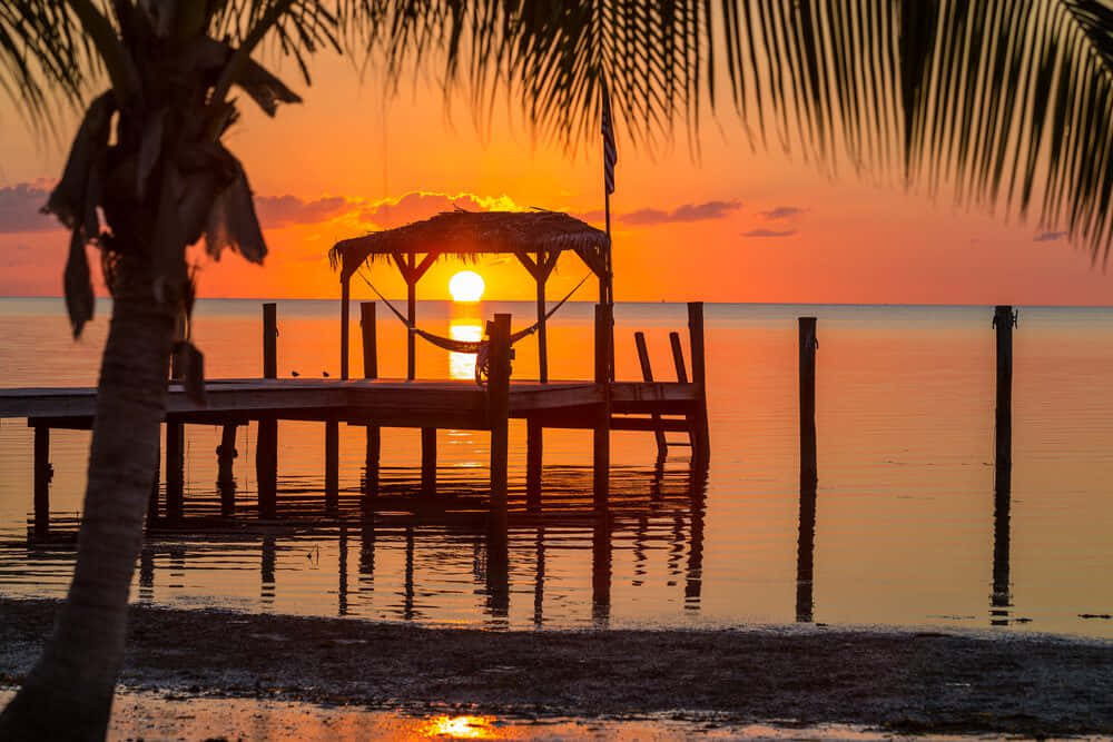 Nyd den fredfyldte skønhed af Key West
