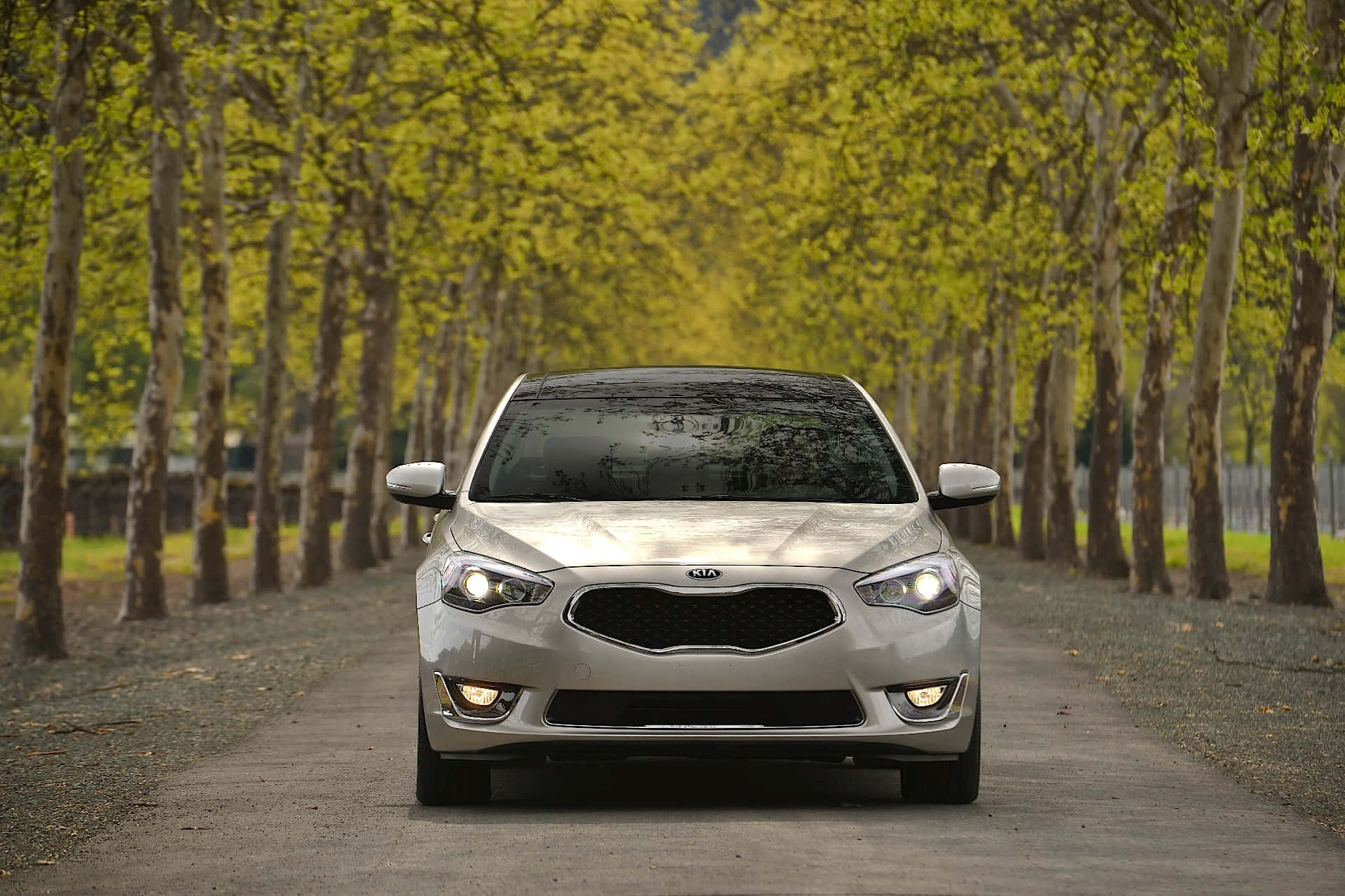 Sleek Kia Cadenza Cruising on a Beautiful Day Wallpaper