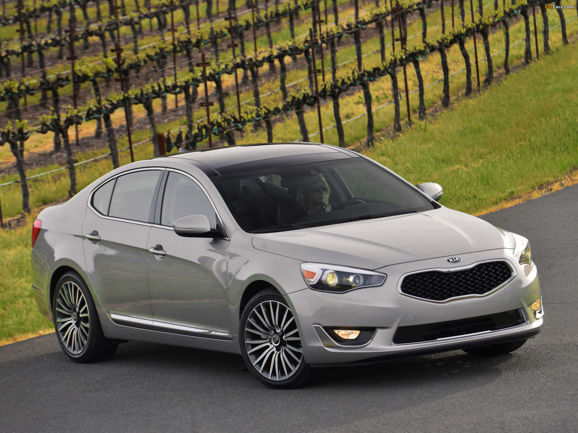 Caption: Stylish Elegance with the Kia Cadenza Wallpaper