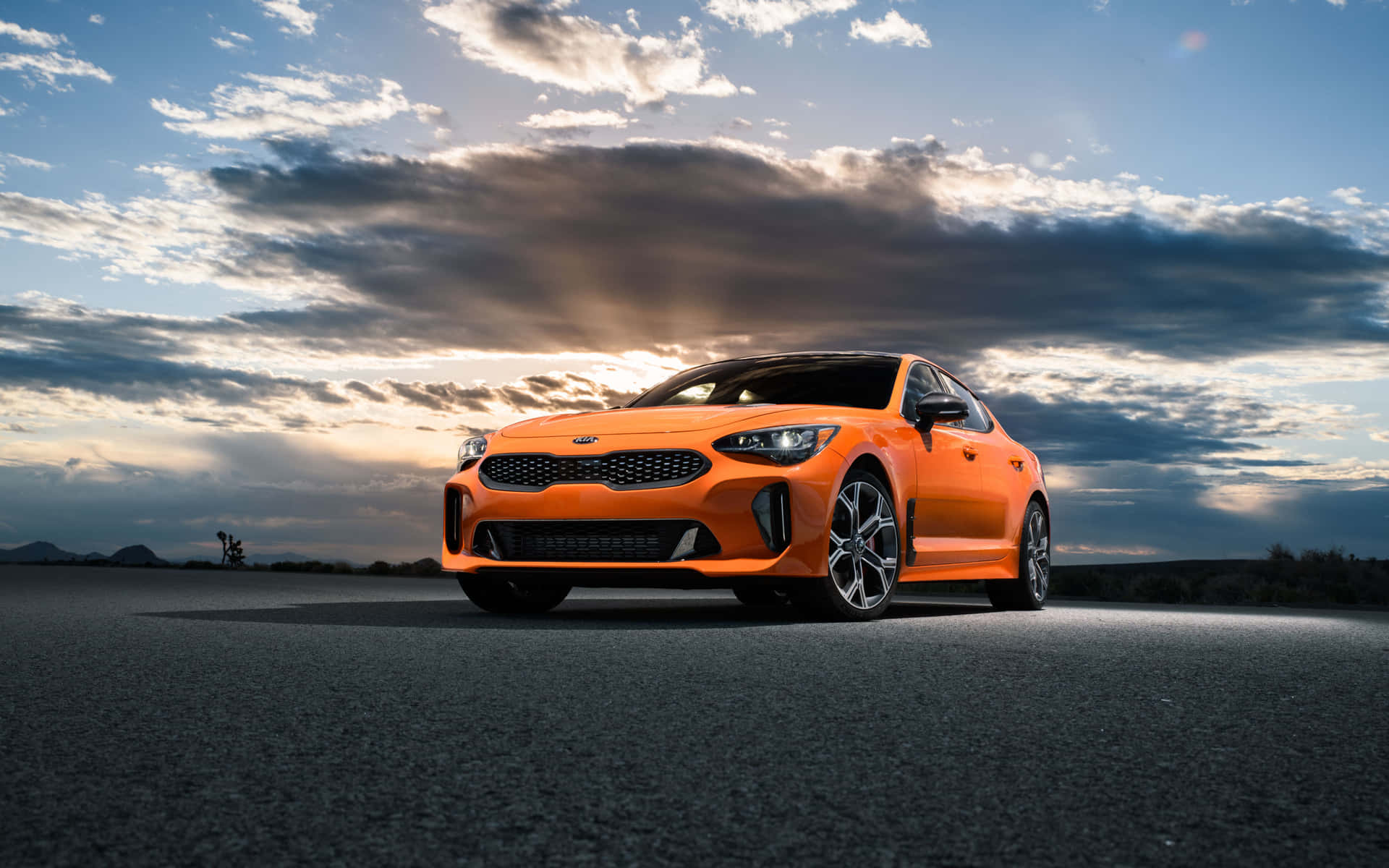 Stunning Kia Stinger in action on the road Wallpaper