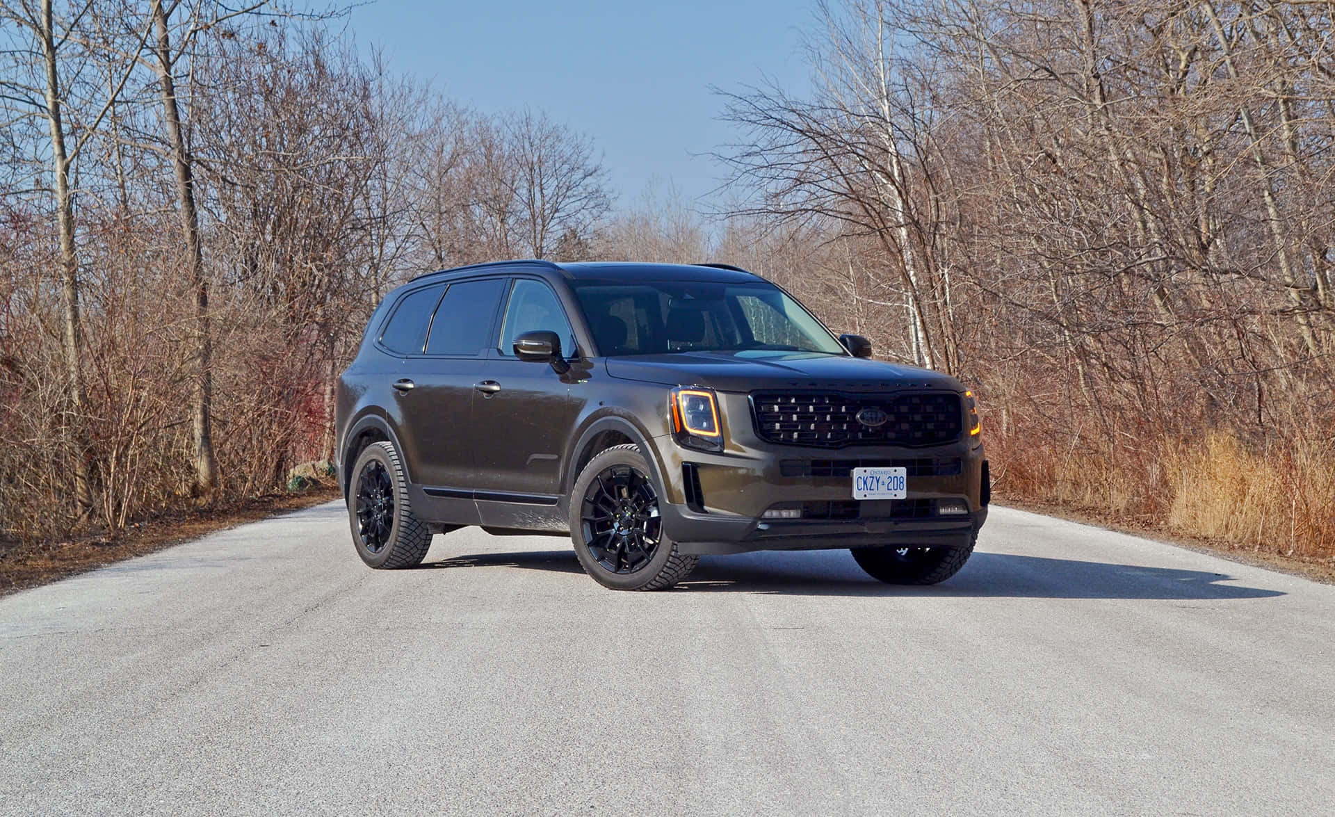 Stunning Kia Telluride on Scenic Road Wallpaper