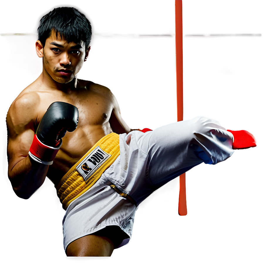 Download Kickboxing D | Wallpapers.com