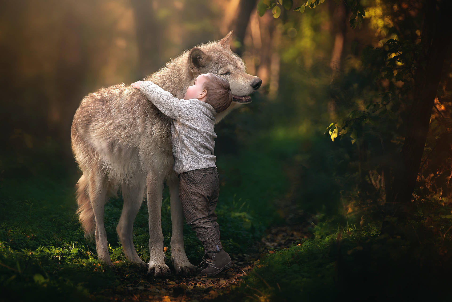 Kid And Wolf Wallpaper