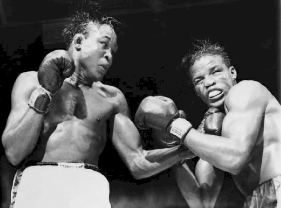 Iconic Moment of Kid Gavilan Delivering Surprising Punch Wallpaper