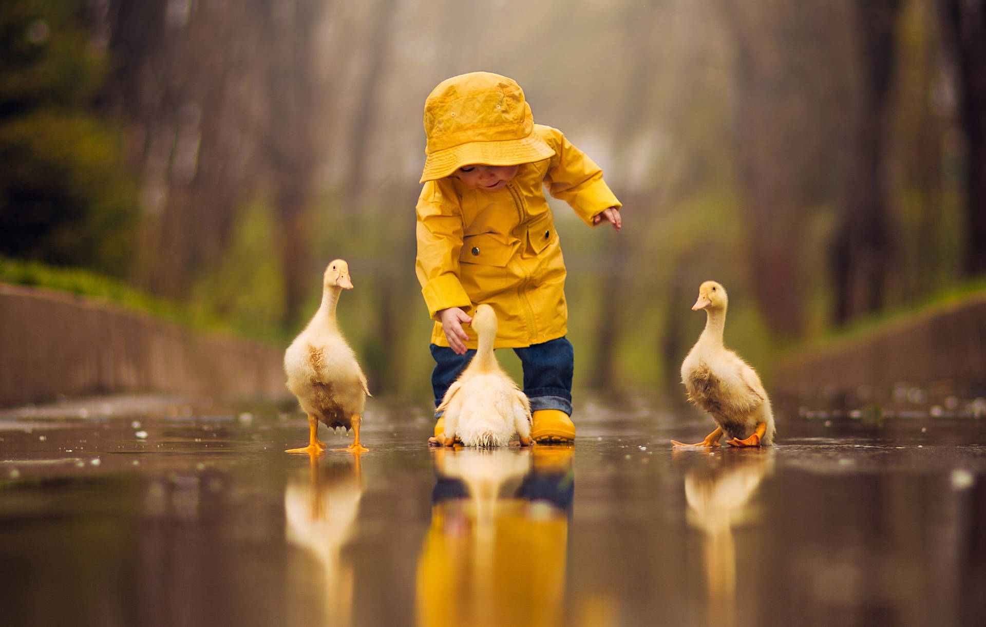 Kid With Ducks Wallpaper