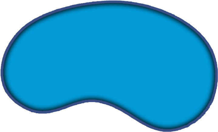 Kidney Bean Shaped Object PNG