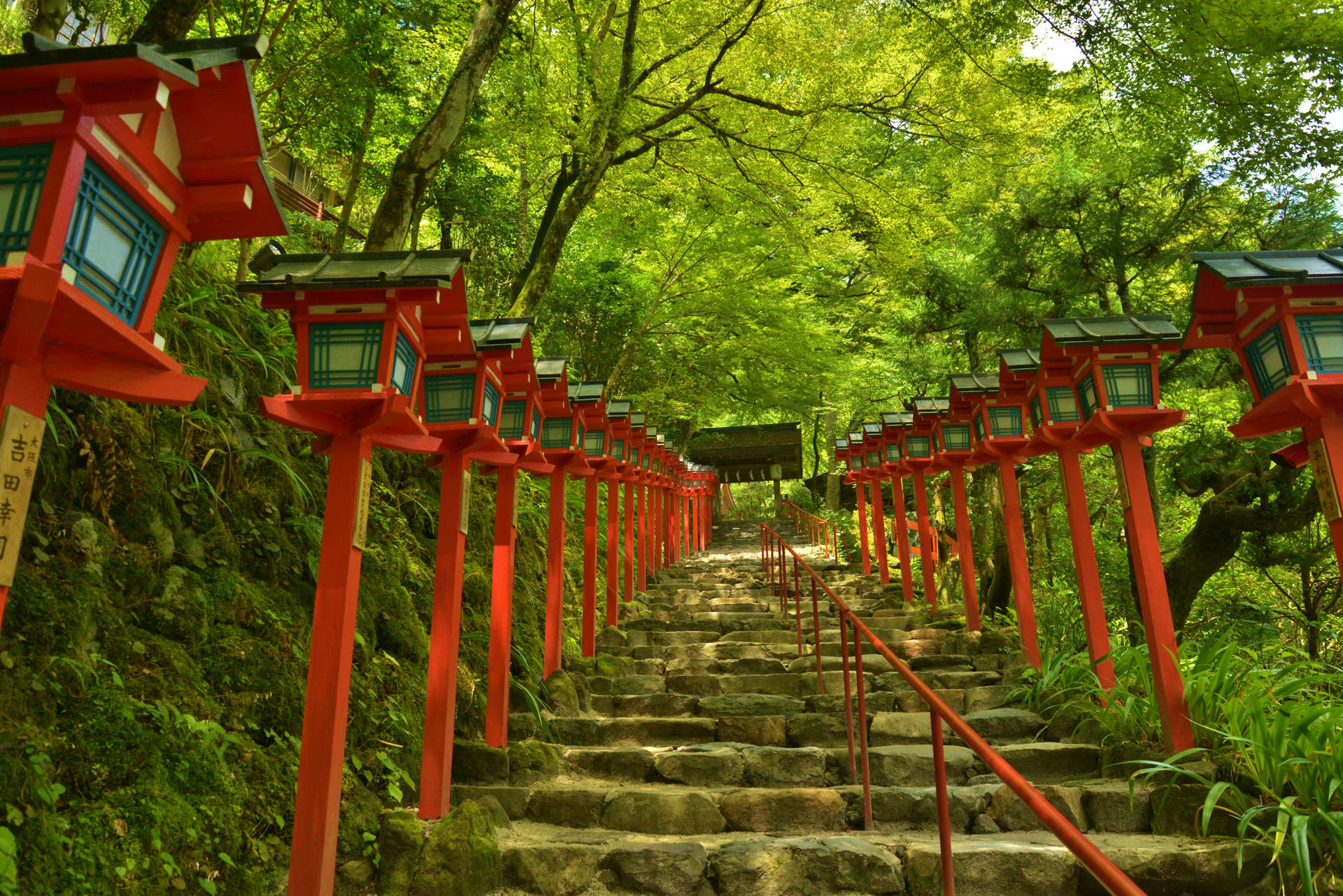 Kifune Shrine Forest Background Wallpaper