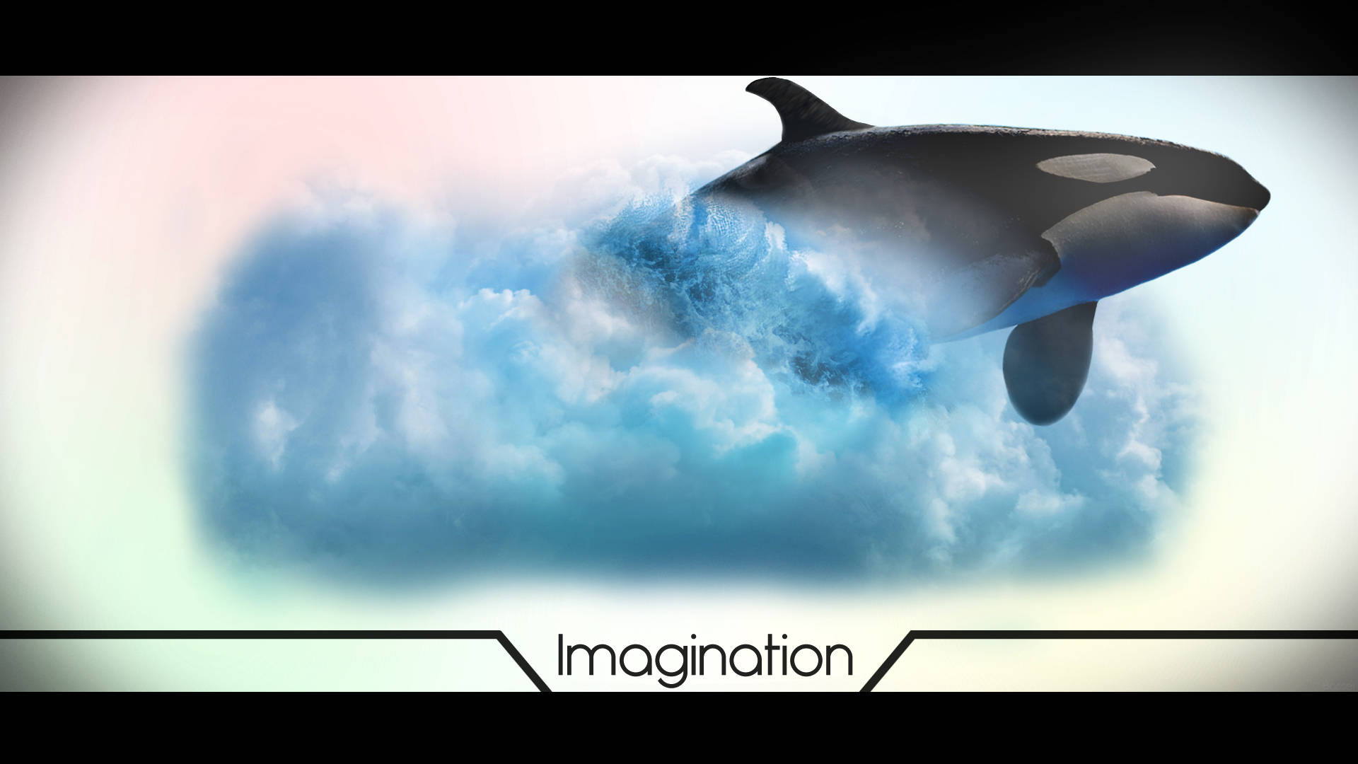 orca breaching wallpaper