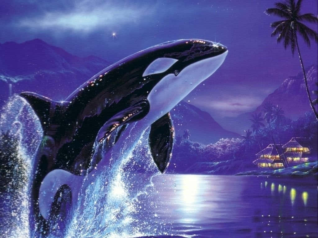 Purple Killer Whale Jumping Picture