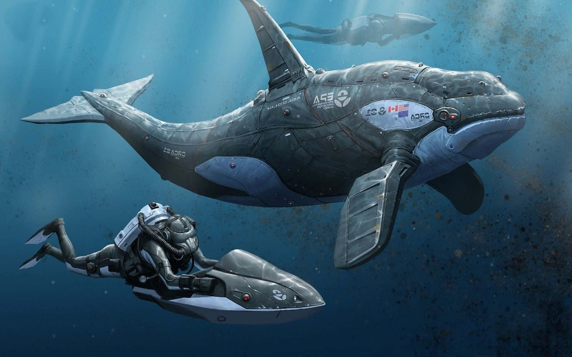 Armored Killer Whale With Man Picture