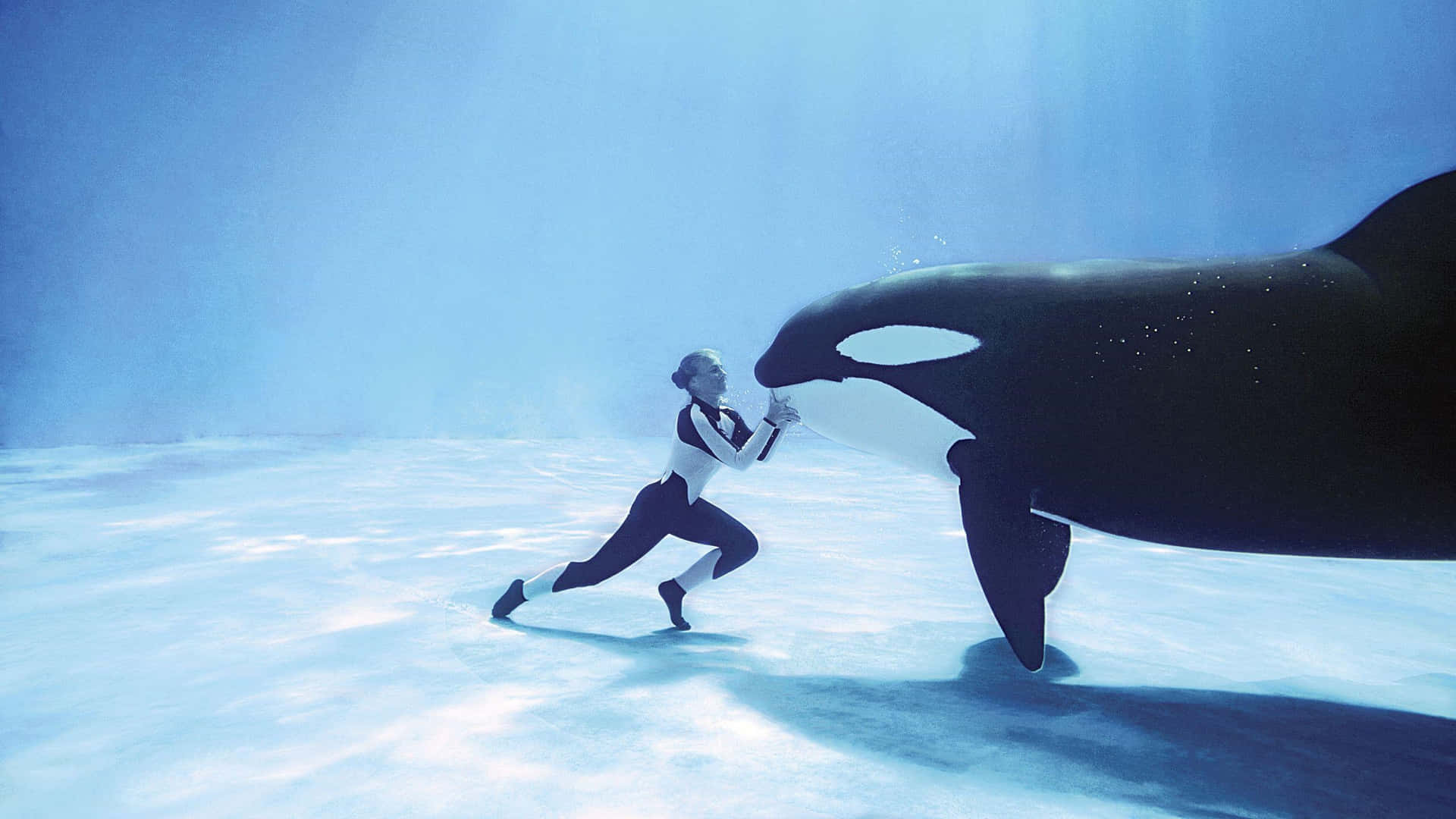 Immaginedi Una Donna Che Fa Trucchi Con Una Balena Assassina