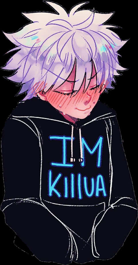 Killua Zoldyck Anime Artwork PNG