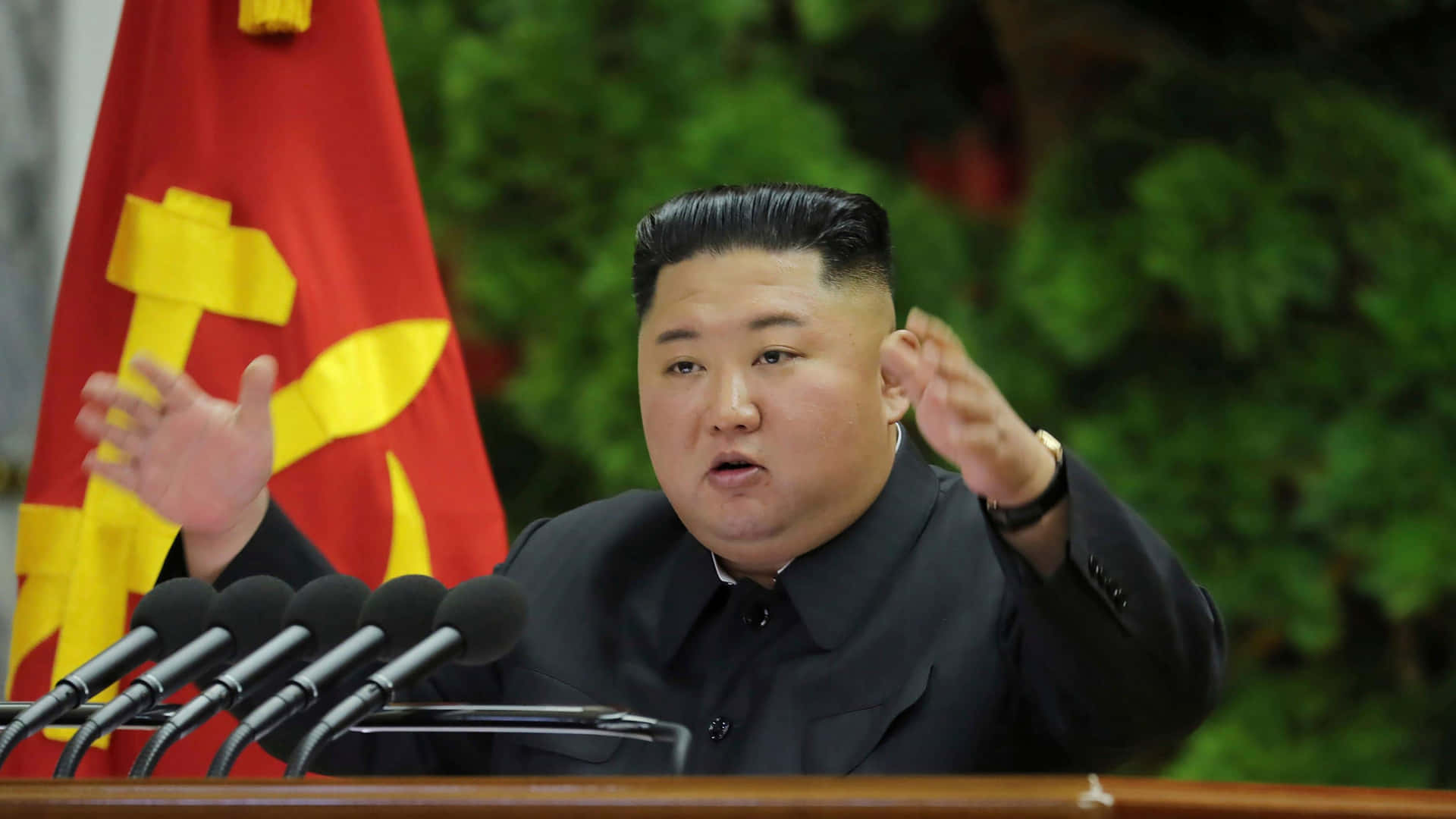 Illeader Nordcoreano Kim Jong Un Che Si Trova Sulla Cima Di Una Collina