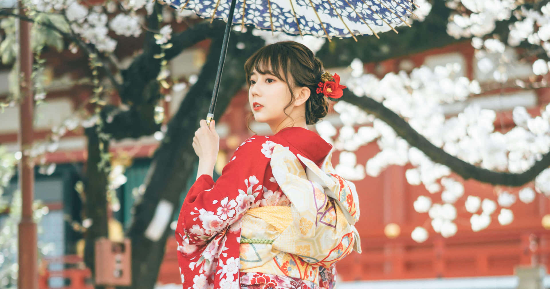 Enkvinna I En Kimono Håller I Ett Paraply.