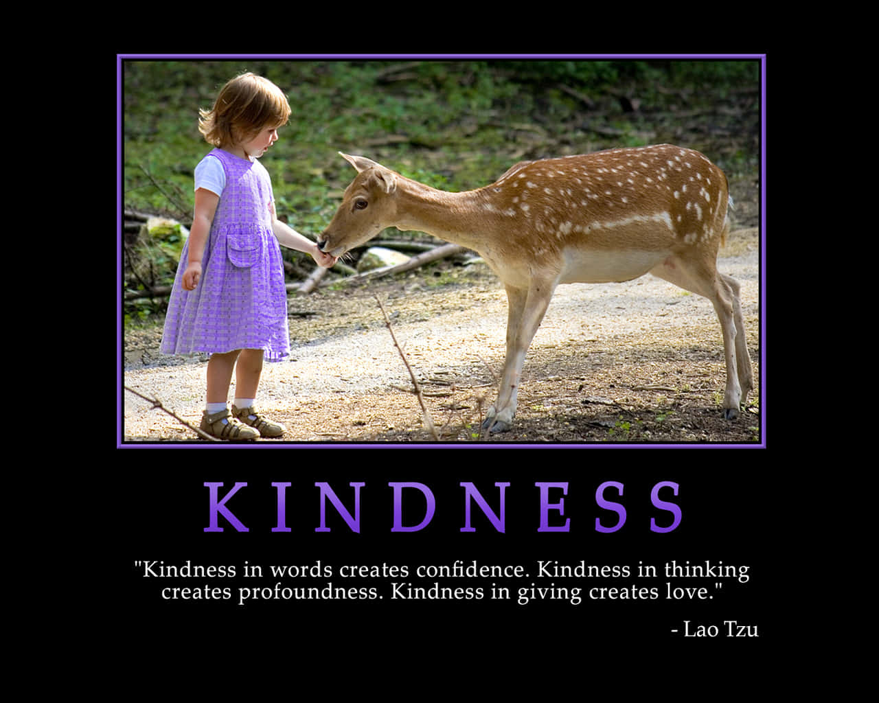 Kindness Lao Tzu Picture