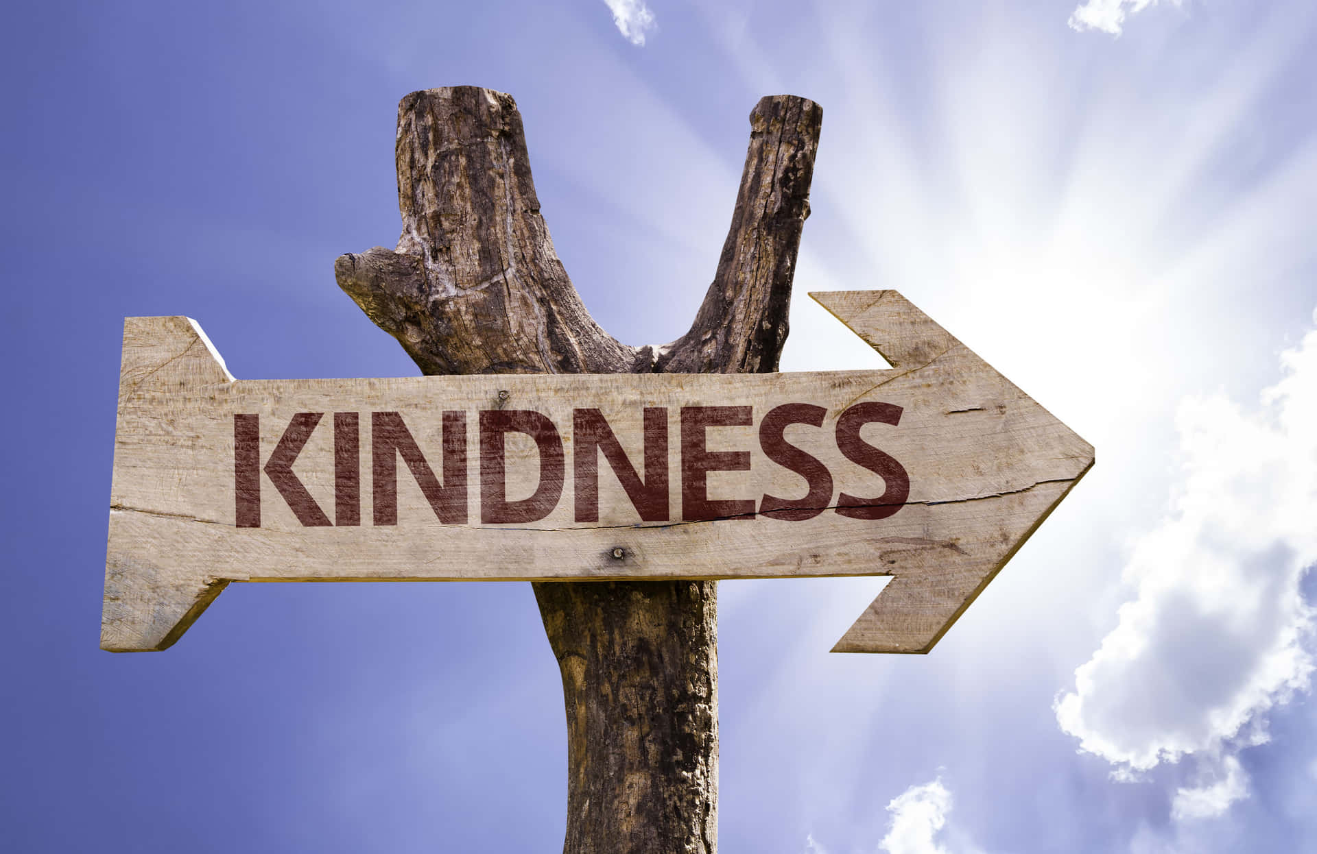 Kindness Wood Sign Picture