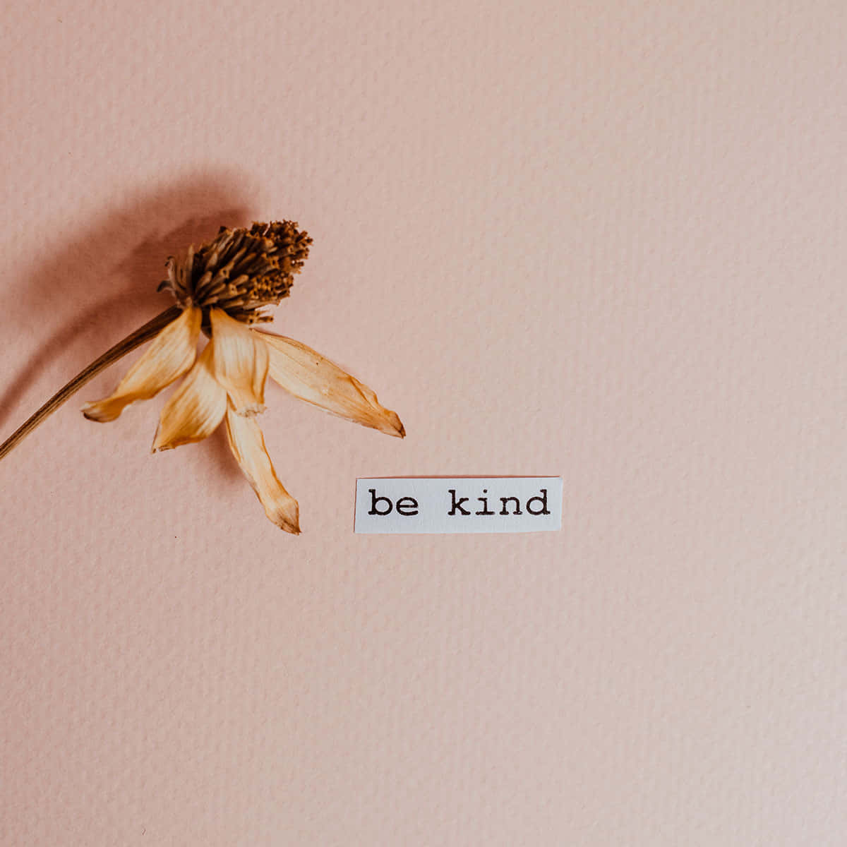 Minimalist Kindness Picture