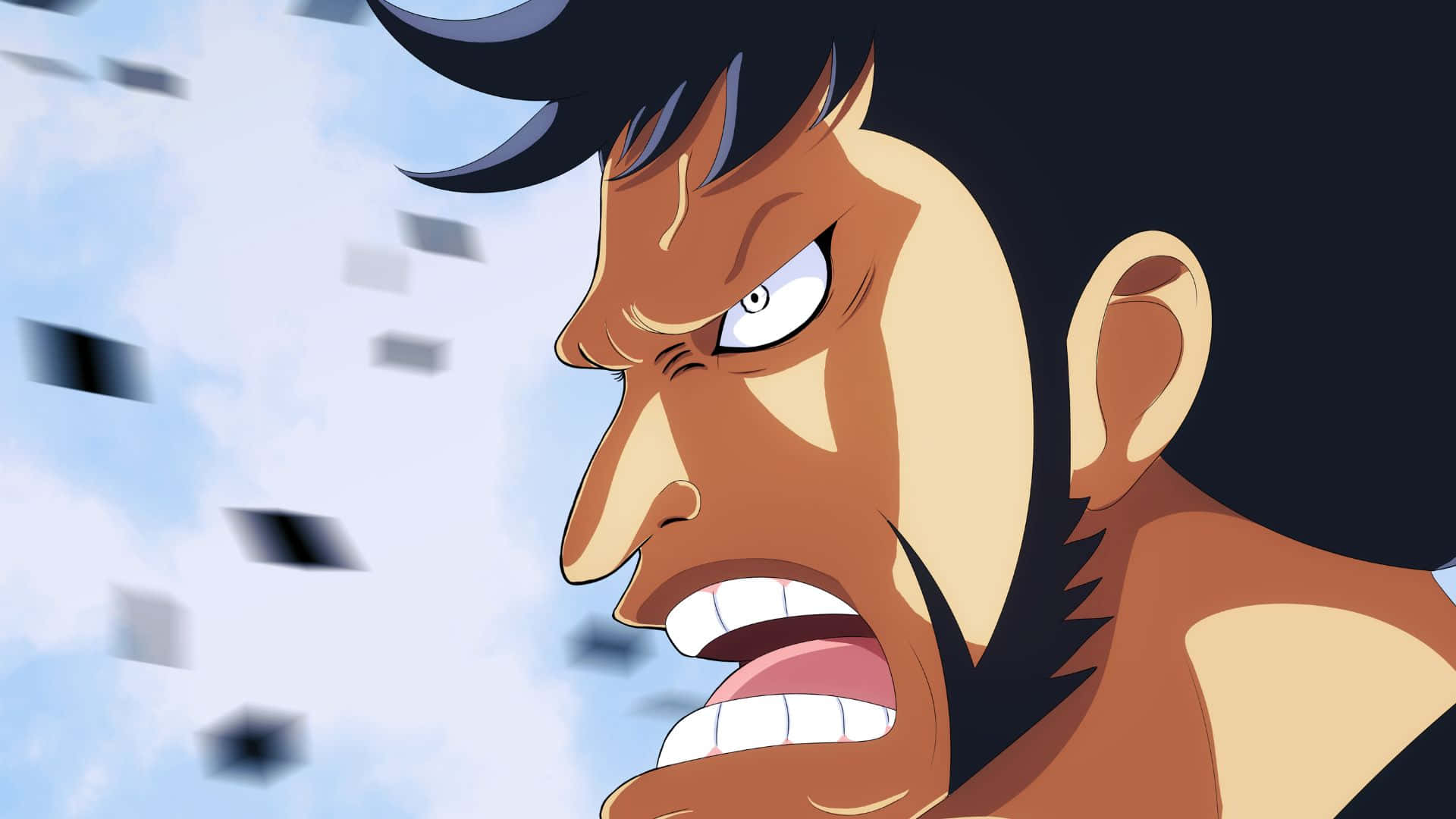 Follow Kinemon in His Search for the One Piece Wallpaper